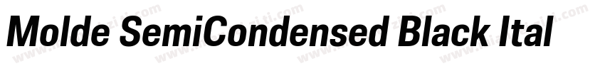 Molde SemiCondensed Black Italic字体转换